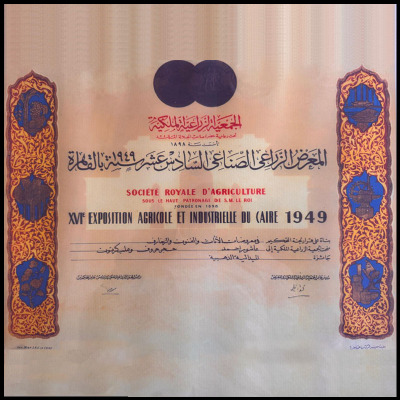 شهادات خبره