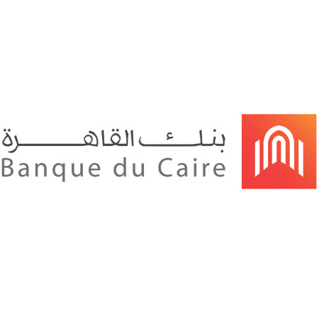 BANQUE DU CAIRE LOGO