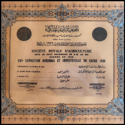 شهادات خبره