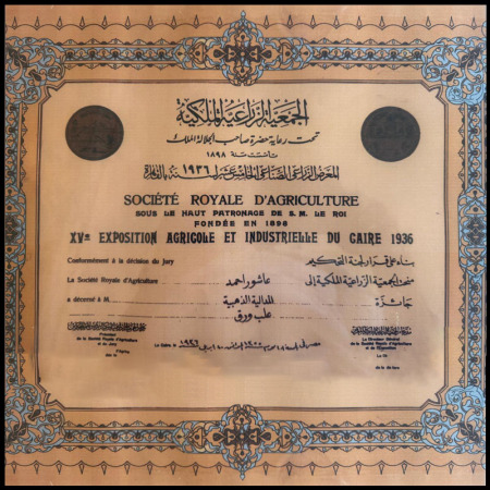 Experience Certificates